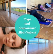 Yoga and Acupuncture Mini-retreat