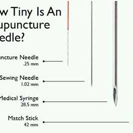 {{brizy_dc_image_alt entityId=